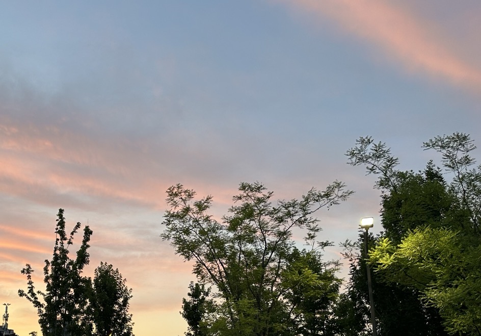 高效协同，让质量部门从“绊脚石”变成“催化剂”