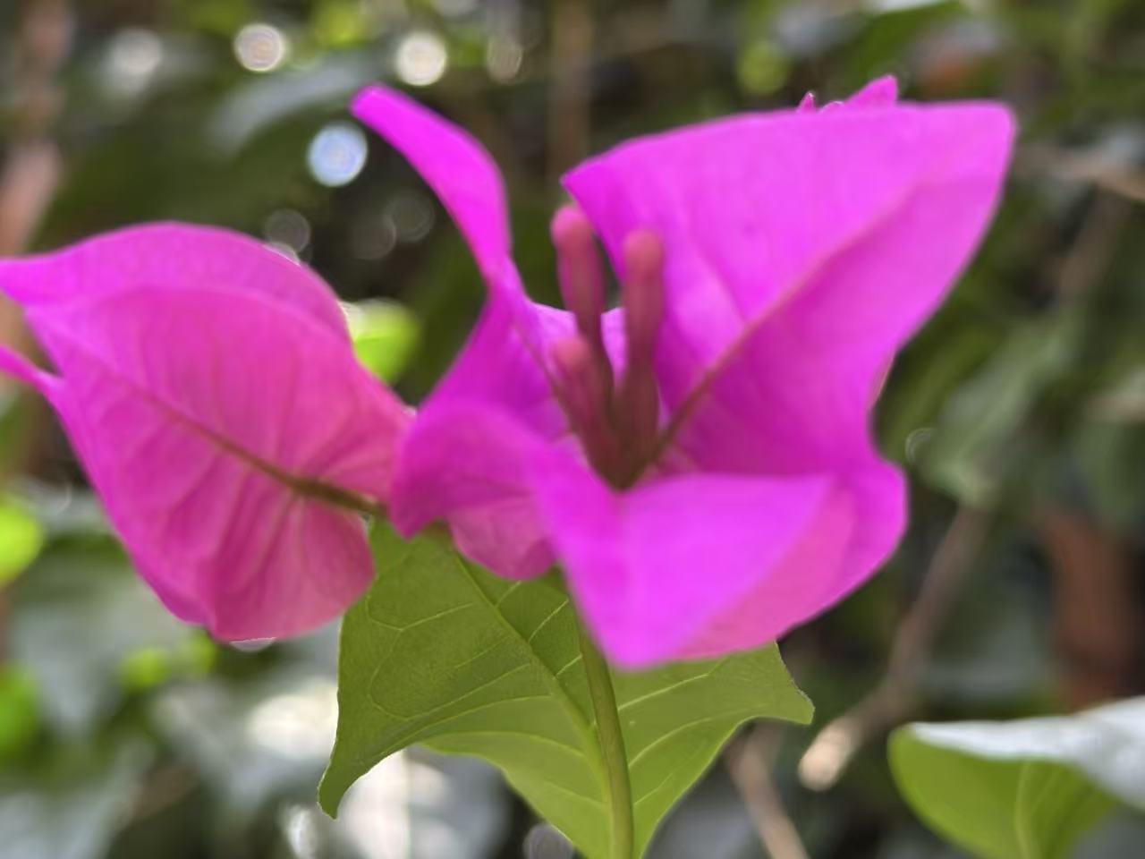 《无声告白》提醒我们：孩子不是附属，请允许他们做自己