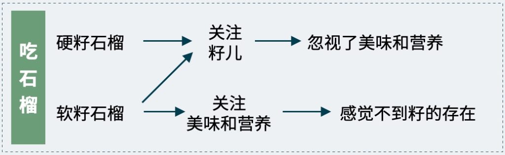 吃石榴的关注点