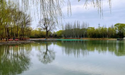 构建测试的体系化思维(高级篇)