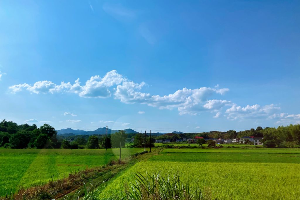 跑步途中的美景