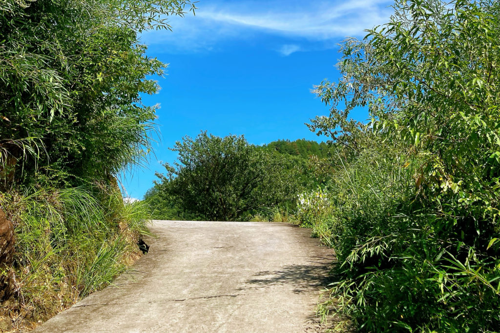 跑过的山路