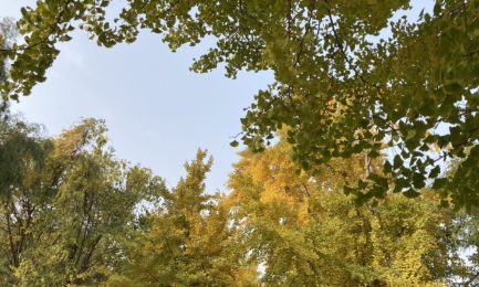 我眼中的优秀PM